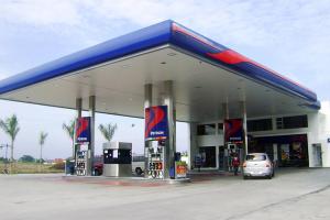Госдума выступила против госрегулирования цен на бензин