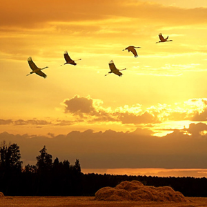 Народные приметы от INNOV: 11 сентября