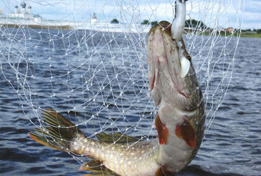 Парус, загородный отель