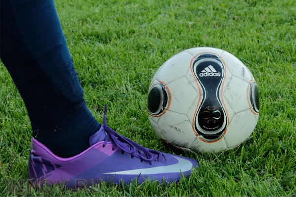 Учёные из Великобритании научили шмелей играть в футбол