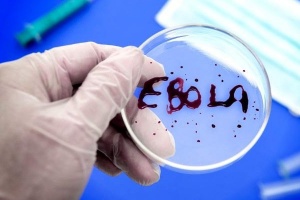В Нижнем Новгороде проверяют на вирус Эбола всех студентов, прибывших из Африки 