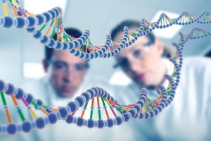 В геноме большинства людей есть как минимум 1-2 опасные мутации