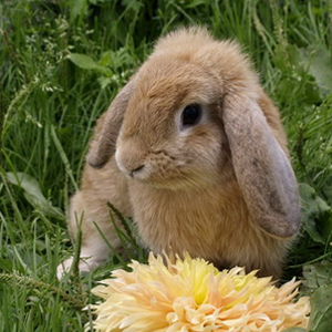 Народные приметы от INNOV: 15 августа