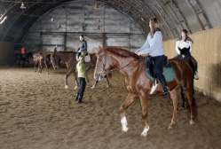Аллюр, конно-спортивный клуб
