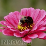 Опрос: довольны ли Вы майскими выходными?