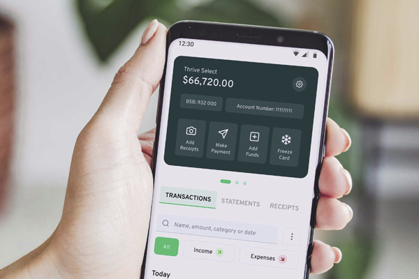 Образный взгляд на веб-займы: финансовый "спасательный круг" или "скользкая дорожка"?