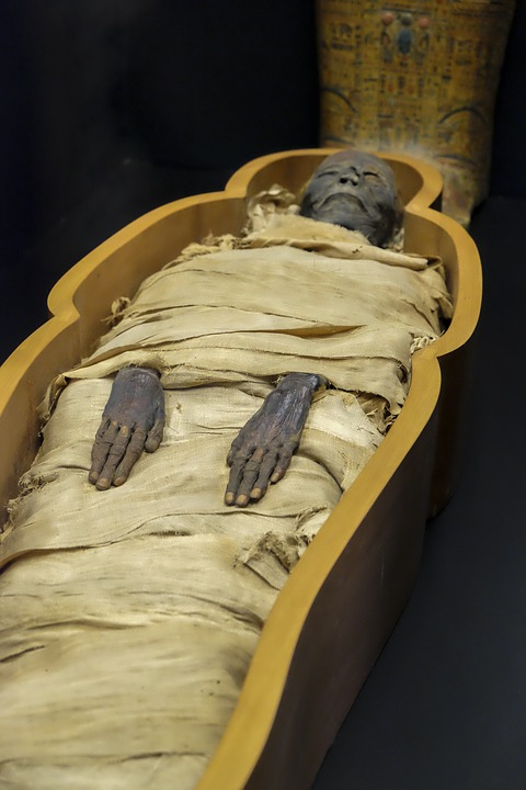 mummy-2796707_960_720.jpg