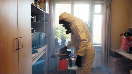 уничтожение насекомых