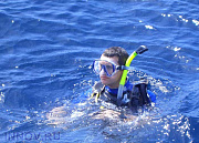 Звездный, дайв-центр