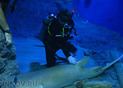 Звездный, дайв-центр