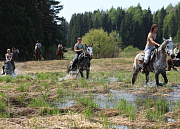 Благовещенское, Серая лошадь