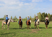 Благовещенское, Серая лошадь