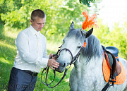 Крейзи-Пони, конный клуб