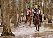 Лесное, конный двор