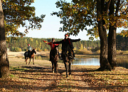 Лесное, конный двор
