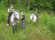 Благовещенское, Серая лошадь