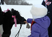 Новинки, конный клуб