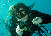 Звездный, дайв-центр