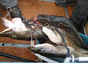 Парус, загородный отель