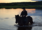 Лесное, конный двор