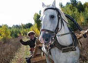 Троицкое, Серая лошадь