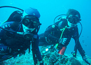 Навионик, дайвинг клуб