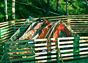 Freedom, серф-лагерь